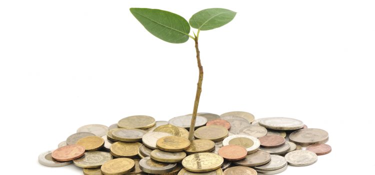 จะทำธุรกิจส่วนตัว ควรจะมีเงินลงทุนเท่าไหร่ ? จะทำธุรกิจส่วนตัว ควรจะมีเงินลงทุนเท่าไหร่ ?